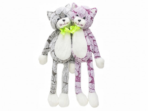 КОТ С ЯРКИМ БАНТОМ