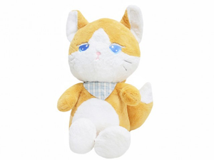 КОТ С ПЛАТКОМ